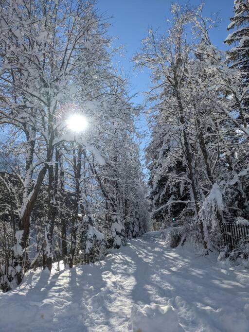 Chalet L'Ilet Ensoleille /Sunny Island Chalet Chamonix Luaran gambar