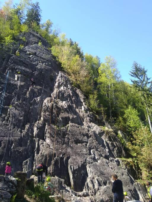 Chalet L'Ilet Ensoleille /Sunny Island Chalet Chamonix Luaran gambar